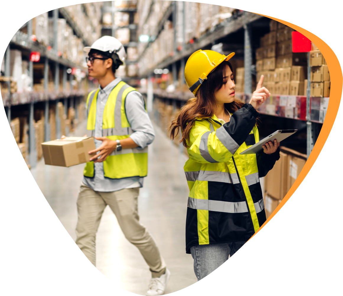 specialized logistics experts