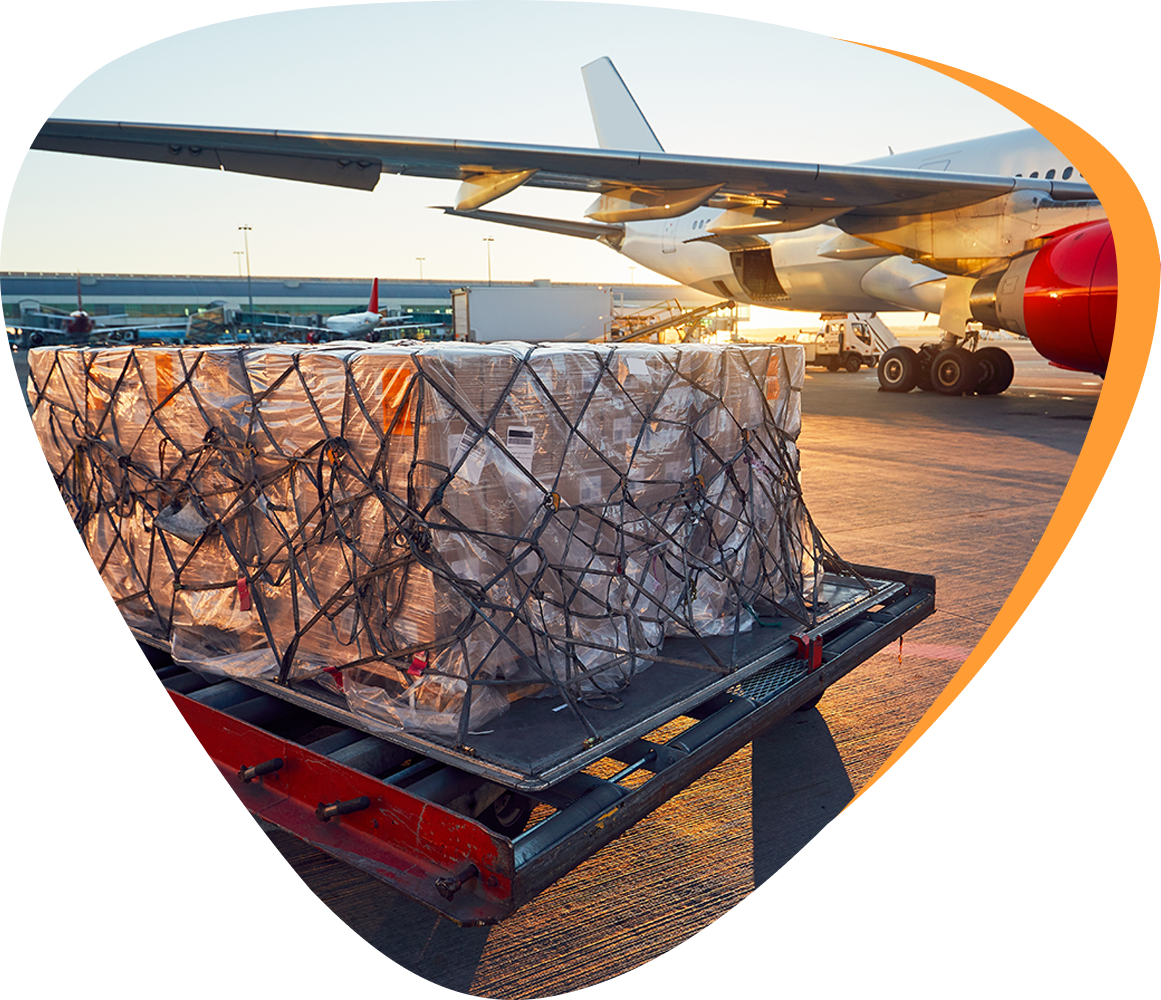 boxes for air freight processing